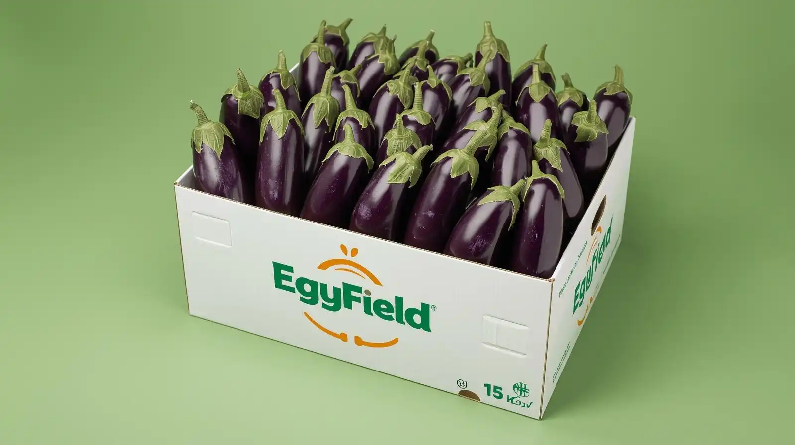 Eggplant